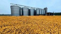 對糧食全鏈條節約減損做出頂層設計和系統摆设